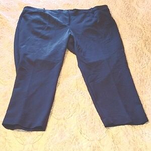 Liz Claiborne Woman's Signature Navy Slim Leg Ancle, Mid Rise, Size: 20 W, NWT